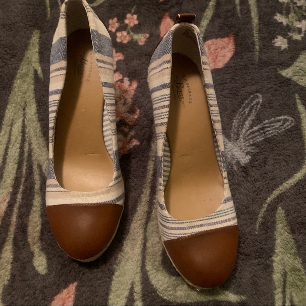 G.H. Bass & Co. Striped Blue and Brown Espadrilles